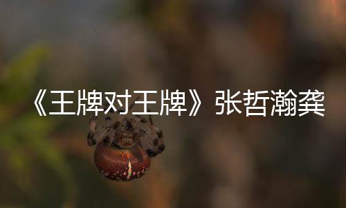 牌对牌期有张哲瀚在哪张哲龚俊对王第几王王牌王牌俊一期瀚龚