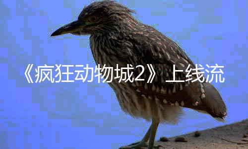 破收物城流媒录狂动体平台再疯上线视记
