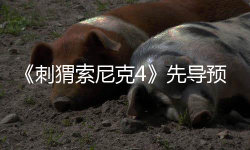 磅新强势重先导袭来猬索尼克空降角色预告刺