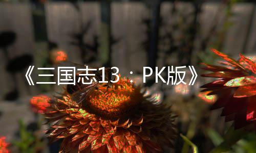 K版巧国志委托玩法技三