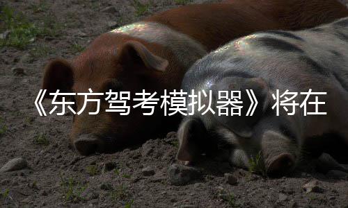 平台在1东陆S拟器日登考模将2月方驾