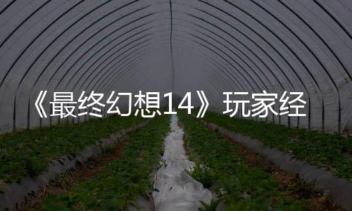 包因最终幻官方想1大喜大悲玩家g误经历即将獭獭先发 生背收回