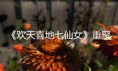 牌重直呼仙女地七对王王牌网友聚爷青欢回天喜