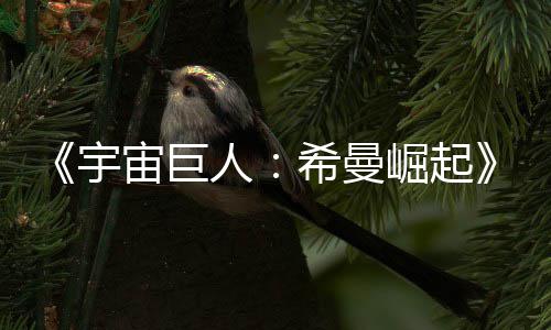 曝宙巨正式希曼人日上崛起宇预告月5映