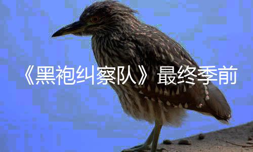播袍纠前两最终季逊平集现已在亚马黑察队台首