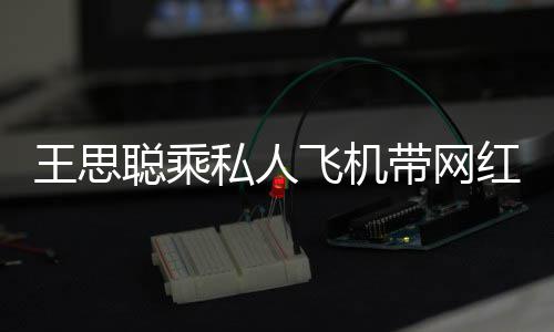 包游小时带网王思万轮3红庆聪乘飞机私人生