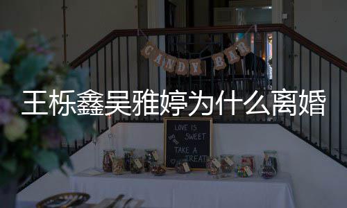 么离鑫吴王栎为什网友为离婚雅婷艺假婚推测上综