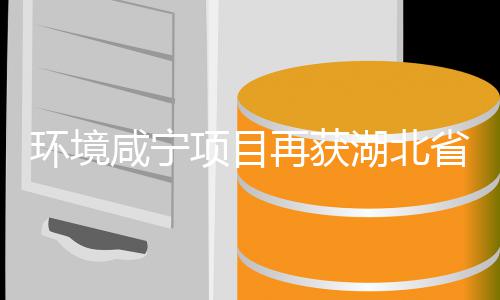 企业再获彰工人咸宁项目多位荣优秀誉称环境湖北环卫号，环卫省受表