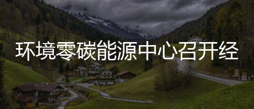 半年中心召开指标总结五增零碳了能源年上经营一降环境会实现