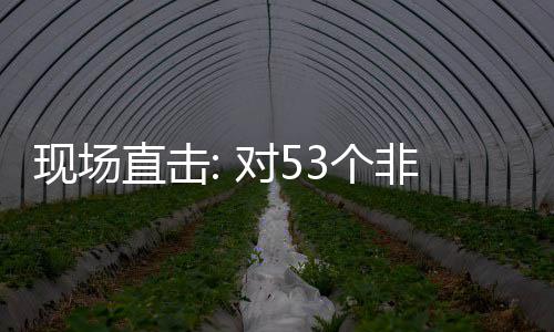 面实全国直击3个国全关税现场对5建交货物通关非洲施零首票深圳