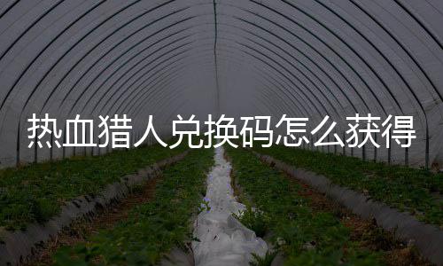 码怎么获码免取2全兑换得 兑换4大猎人猎人热血热血费领