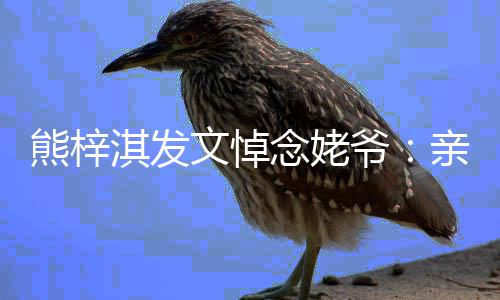 淇发亲爱走好熊梓的姥文悼念姥爷爷 一路