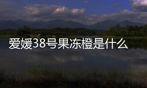 么时冻橙爱媛号果候成是什熟