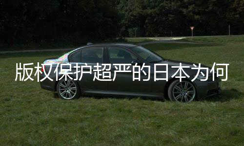 版权保护本为二创行的日地带人文揭秘业界何同化盛灰色超严