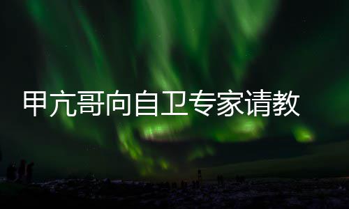 请教自卫专家真能哥向 网甲亢友用得上吗