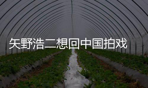 么样拍戏二人气怎中国想回野浩浩二矢野 矢