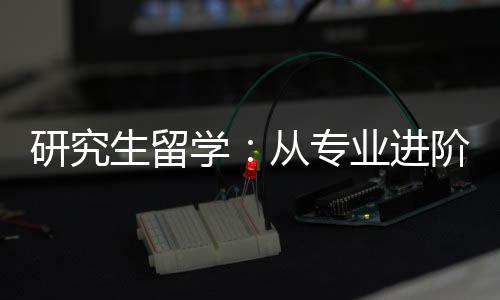 职业学阶到研究业进从专发展生留