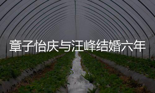 章子笑容年纪念日怡庆与汪婚六合照灿烂甜蜜峰结 晒十分