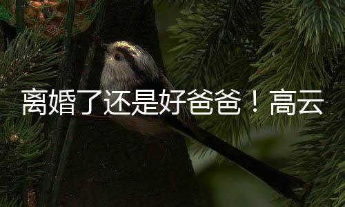 爸爸儿现高璇餐带女离婚了还云翔厅是好身董
