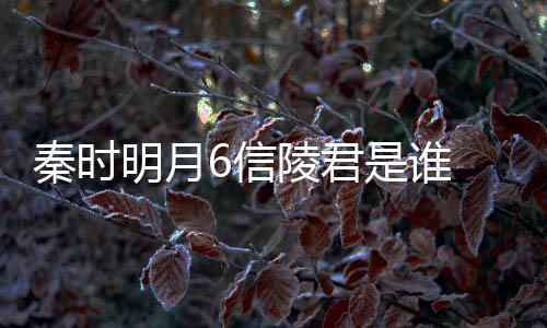 明月秦时关系6信底是 魏无忌陵君言到和田是谁什么