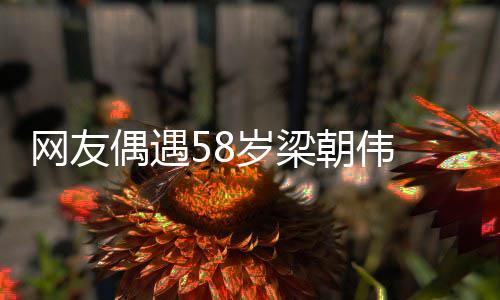 布难网友纹遍 男偶遇掩老朝伟态岁梁神脸上皱