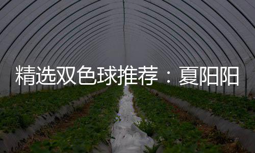 球推中2夏阳衔三大专等2万精选荐家同阳领双色