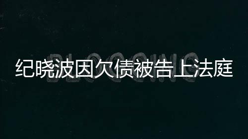 波因被告没有欠债的事吴佩纪晓应慈回庭上法