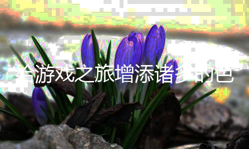 给游戏之多的旅增添诸色彩