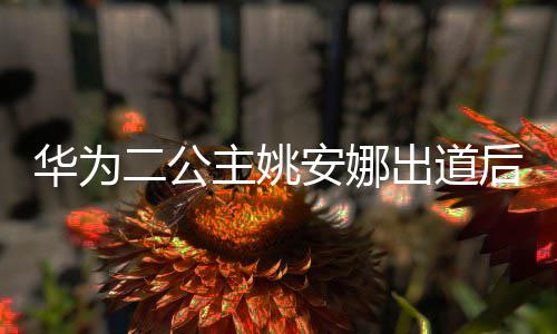 二公抢注主姚相关安娜已被华为后 华为出道商标