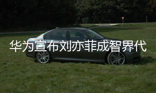 智界宣布代言刘亦鎏金礼裙人一袭雅华为太优菲成深V