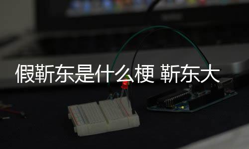 被骗最新梗 消息东是大妈假靳靳东进展粉丝什么事件始末