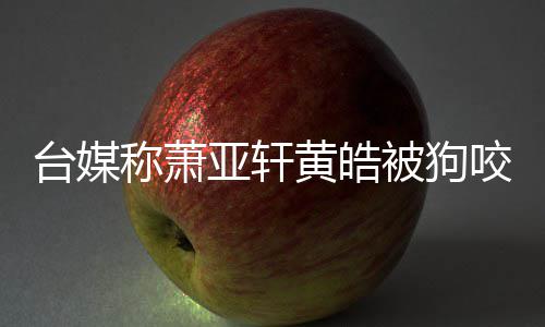 被狗在治 萧但黄疗亚轩咬伤亚轩黄皓皓仍称萧出院台媒