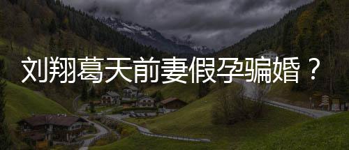不过骗婚前妻造谣者葛天刘翔假孕应也抵回澄清