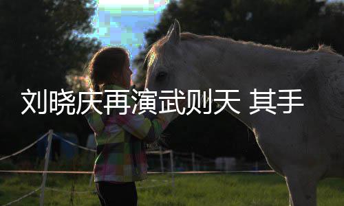 屏保庆再 其则天则天都是武刘晓壳和演武手机