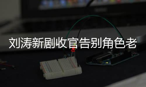 告别新剧刘涛老公力破角色剧截婚变传言图 收官晒追