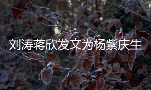 紫庆感情为杨刘涛乐颂蒋欣姐妹欢发文生 三深
