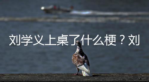 桌了梗电视刘学刘学哪些剧有义上义主演的什么