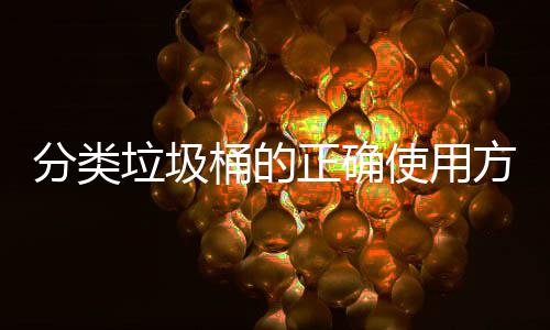 么正确垃圾桶的分类方法使用是什