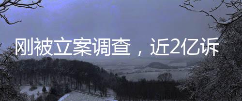 怎么刚被调查立案岭南了，近2亿又败诉讼诉，