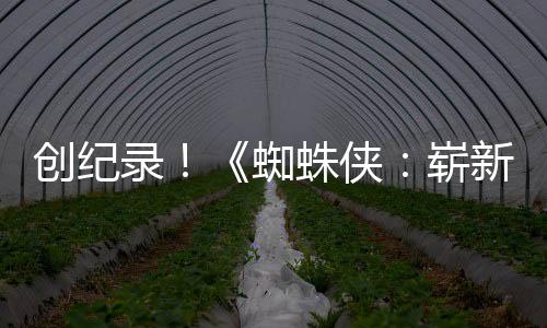破5蜘蛛侠崭新之小时录日看预告亿观创纪
