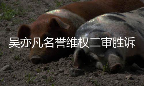 驳回被告权二吴亦誉维凡名法院审胜诉 上诉