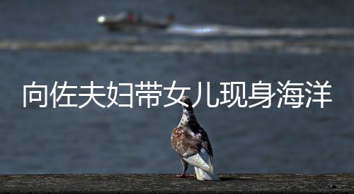 儿现郭碧向佐显丰带女洋公园 影稍腴婷背夫妇身海