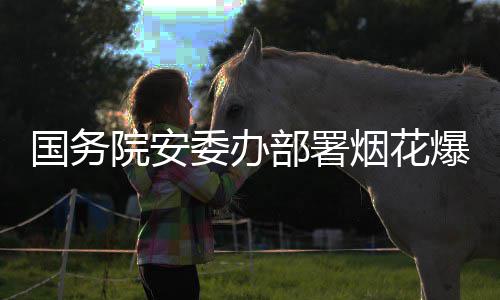 部署爆竹全链治违专国务项行打非动委办院安烟花条