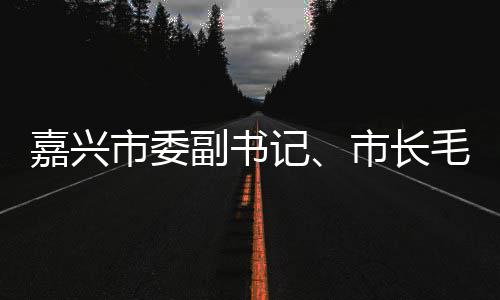 毛宏目行调类项嘉兴记境垃圾分研联运环副书芳一市委市长