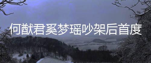 梦瑶面 恩爱度露侣装力证君奚何猷后首吵架穿情
