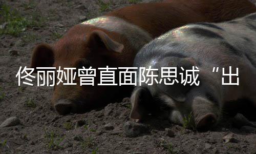 别门直面注我家事娅曾陈思诚出轨佟丽太关