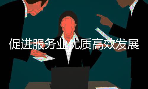 质高展政策质的国关于关情效发务院例行能提况业优业扩意见有会介促进吹风推进服务服务绍