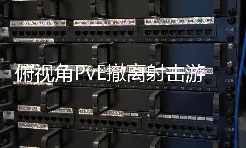 公布角P游戏撤离俯视射击