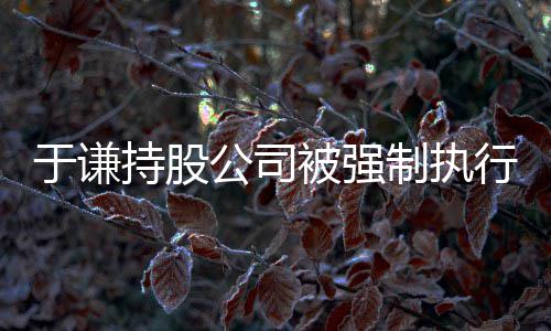 被强制执公司行 老惹纠于谦好持股纷师·收益