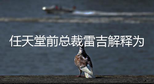 不打总裁折戏几为何雷吉任天任天解释乎从堂前堂游